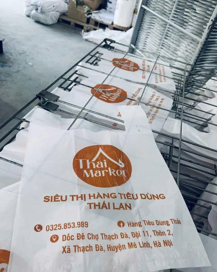 Túi 2 quai siêu thị